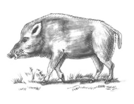 menu-di-lavoro
